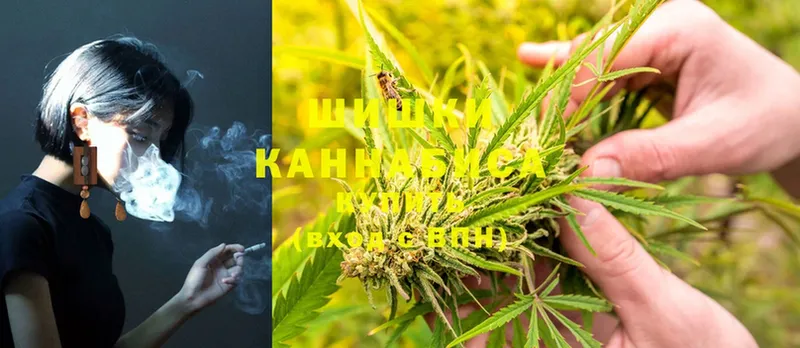 Бошки Шишки Ganja  kraken вход  Канаш  купить  сайты 